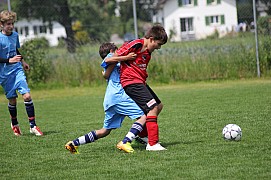 IMG_8031.jpg IMG_8031.jpg