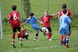 IMG_8043.jpg IMG_8043.jpg