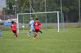 IMG_8096.jpg IMG_8096.jpg