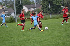 IMG_8109.jpg IMG_8109.jpg