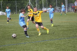 IMG_6460.jpg
